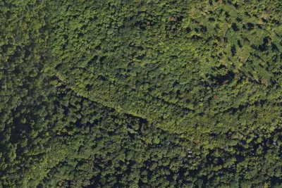 Camp site