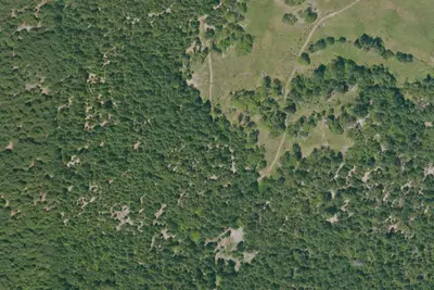 Camp site