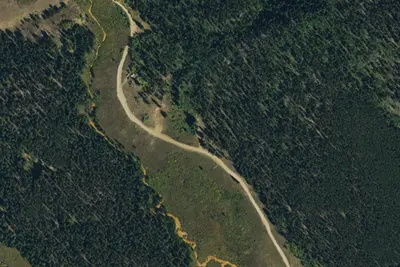 Designated Campsite