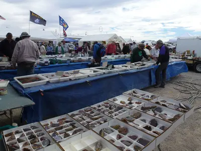 A Booth at the 2013 Quartzsite Improvement Association Gem and Mineral Show - panoramio