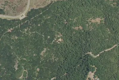 Primitive Campsite