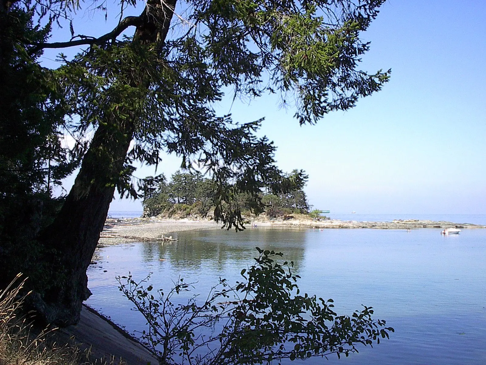 Photo of Dionisio Point Park
