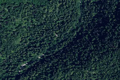 Dog Creek Camp