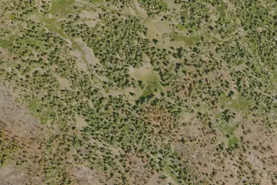 Camp site
