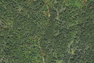 Cherry Mountain Road Camping