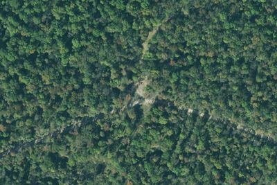 Barr Road Campground