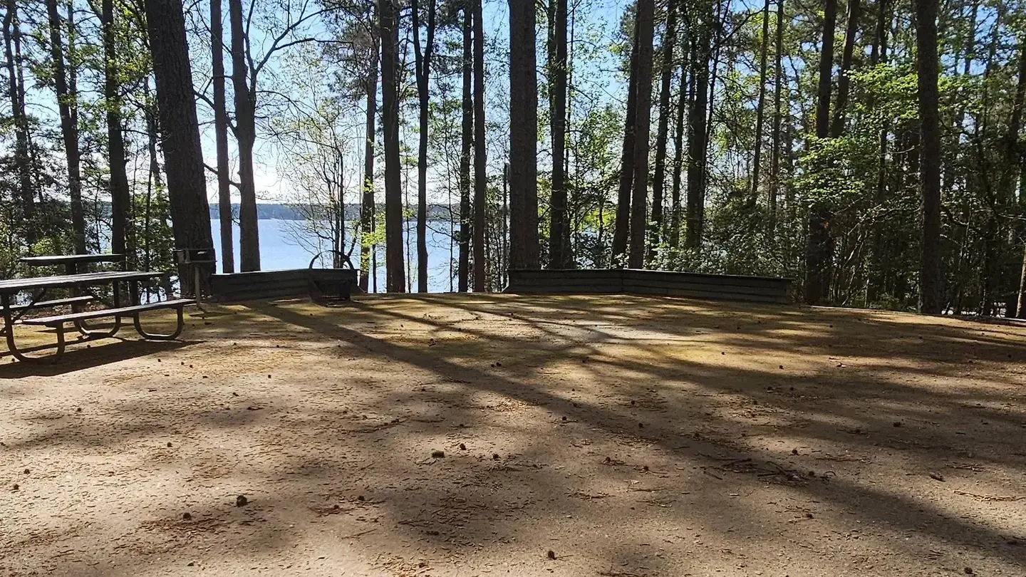 Site 24