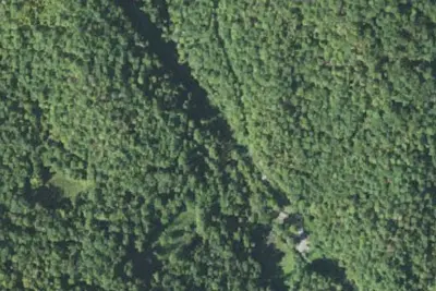 Camp site (US Forest Service)