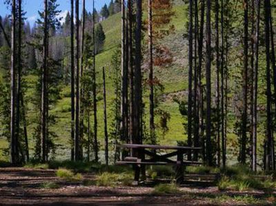 Bonanza CCC Group Campground