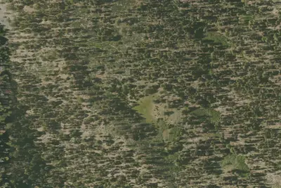 Cedar Basin Camp