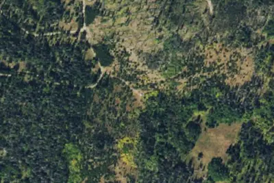 Camp site