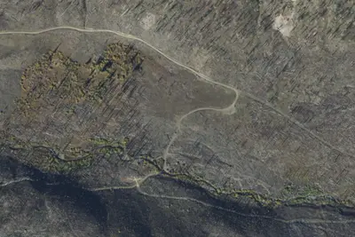 Fr132-50