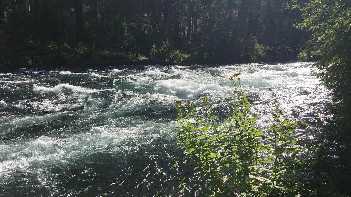 Rapids on the Metolius River