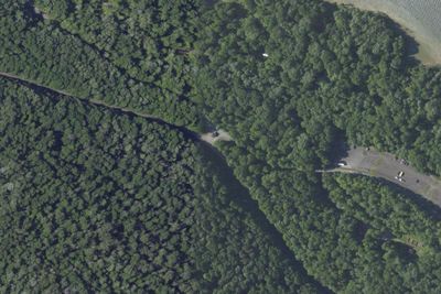 Kiasutha Recreation Area