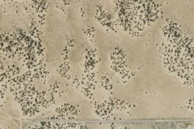 Camp site