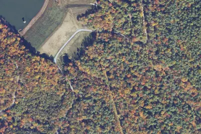 Camp Flamingo
