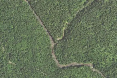 Trout Creek