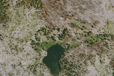 Camp site