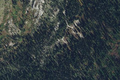 Bear Creek Pass Campground
