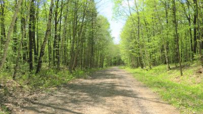 Eastwood Recreation Area Campground