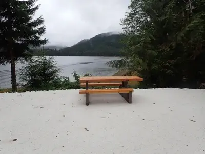 picnic table with view of trees and ocean
