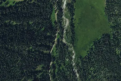 West Fork Cimarron Dispersed