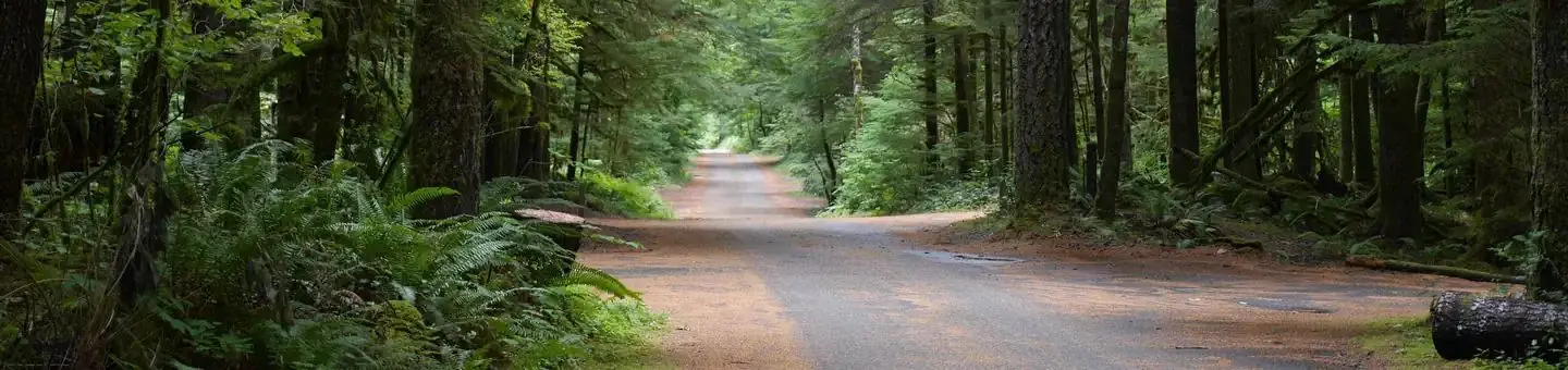 North Fork Campground