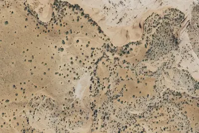 Camp site