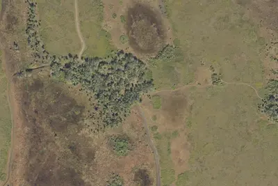 Primitive Campsite