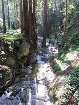 Hare Canyon Creek (8613083124)