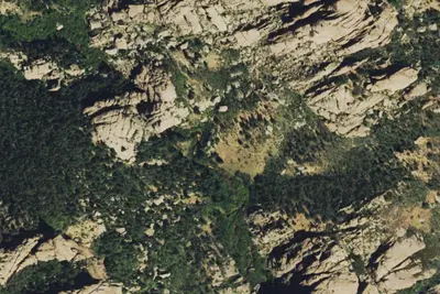 Camp site