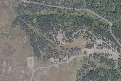 Group Campground