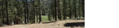 Heart Bar Campground