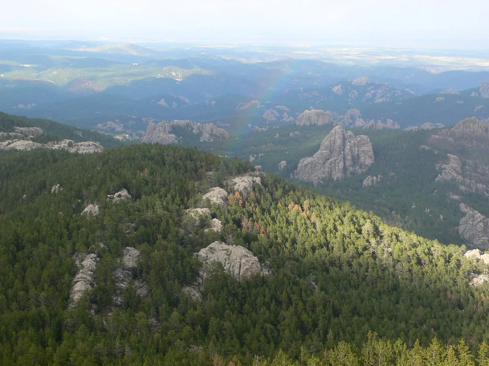 Photo of Black Hills National Forest