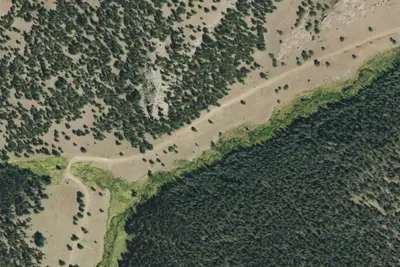 Camp site