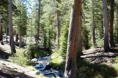 Coldwater campground