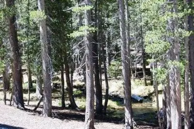 Coldwater campground