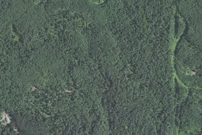 Sht- Northwest Little Brule River
