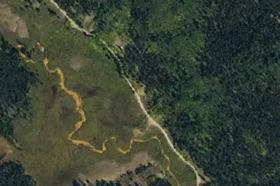 Designated Campsite