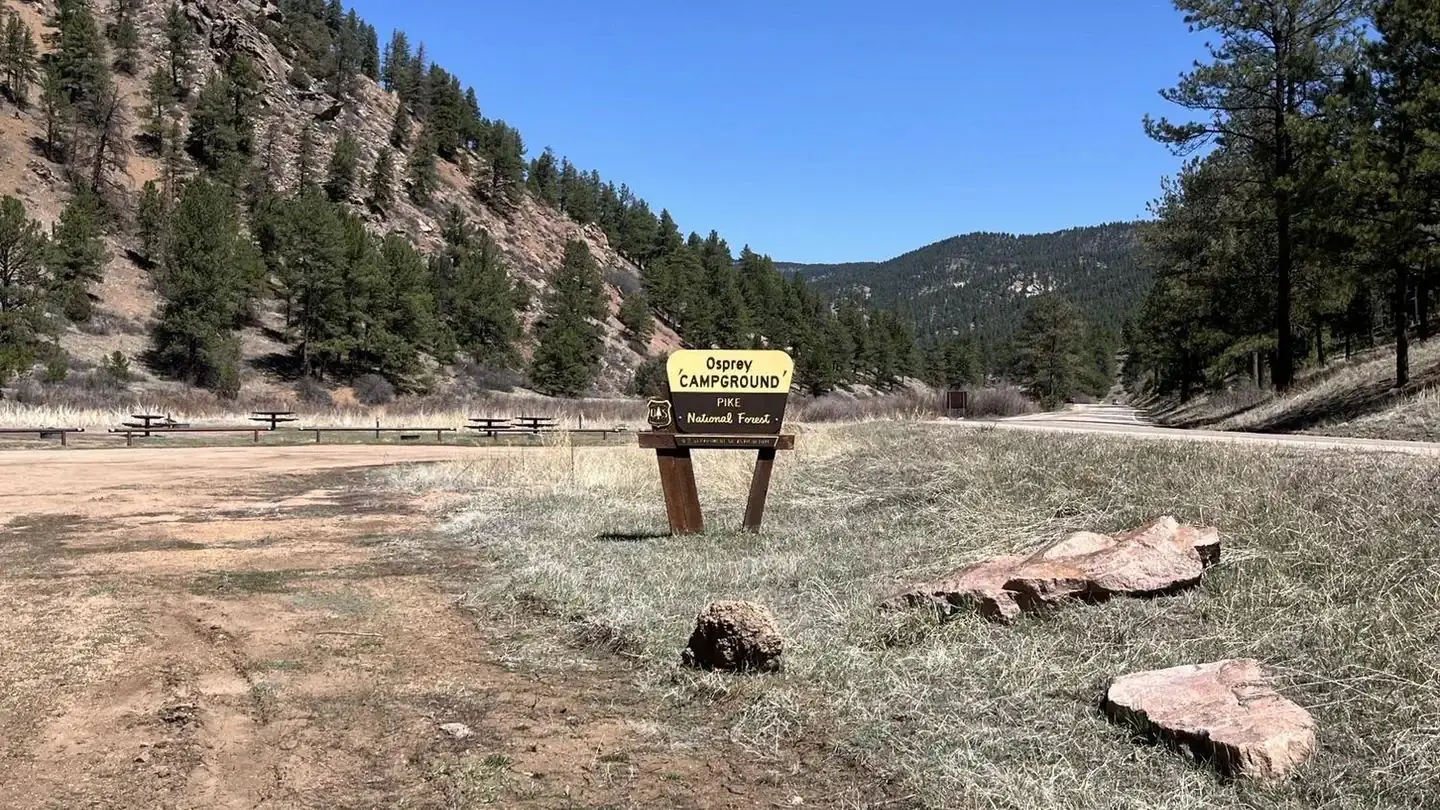 Osprey Campground - View from Host Site