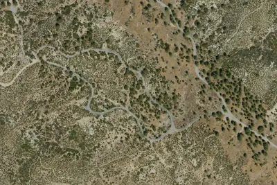 Site #6