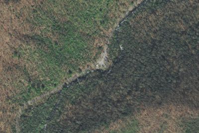 Birch Branch Campground