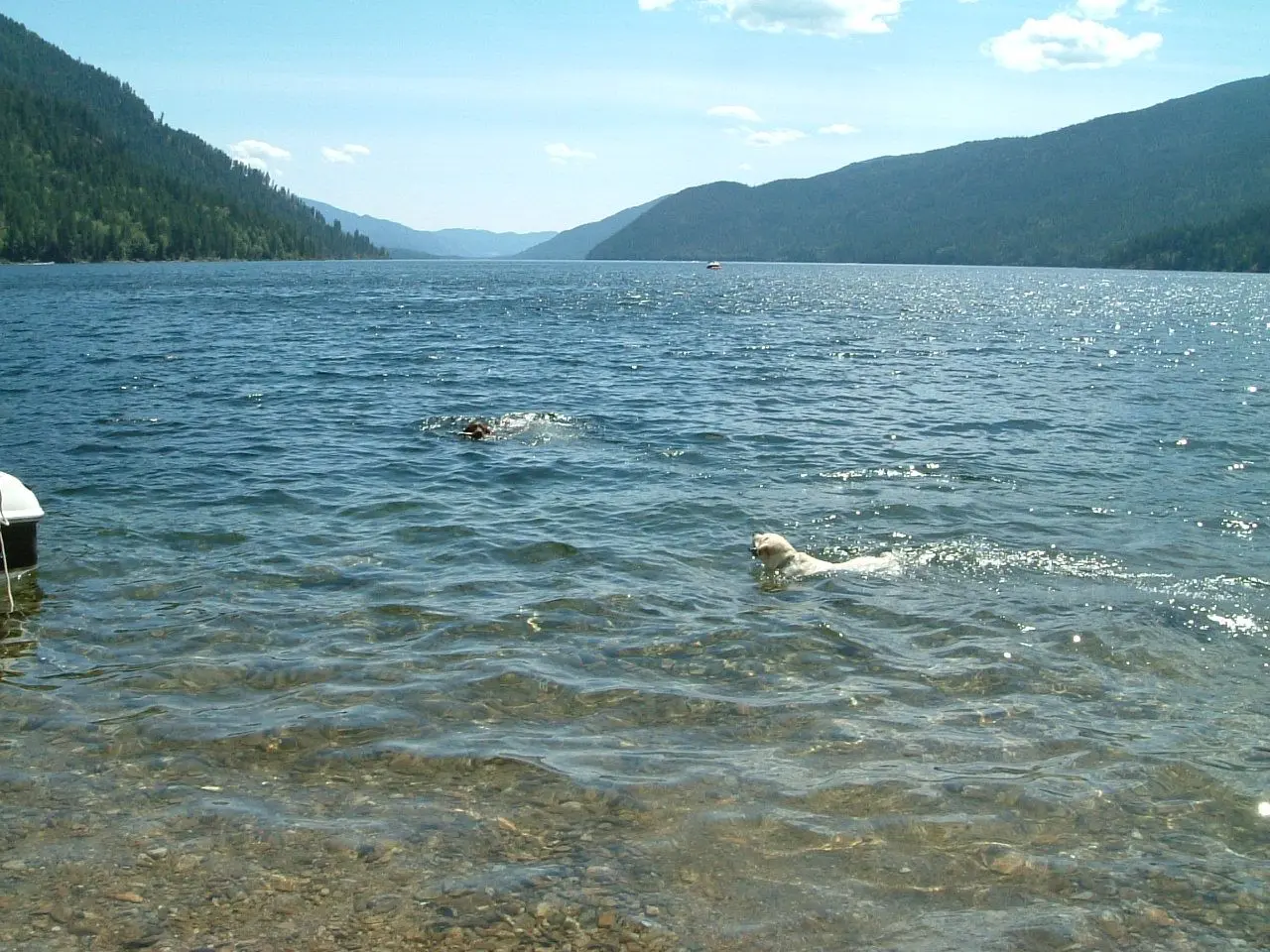 Photo of Gladstone Park