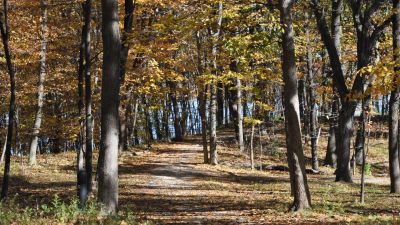 Acorn Valley