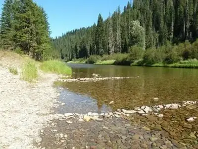 Kit Price - river