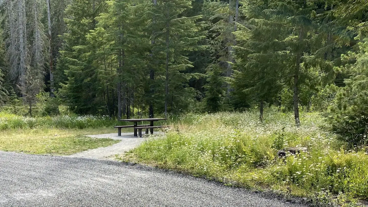 Kit Price Site A005. Photo includes picnic table, wild flowers, evergreen trees.