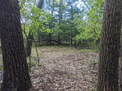 Goat Island Camping