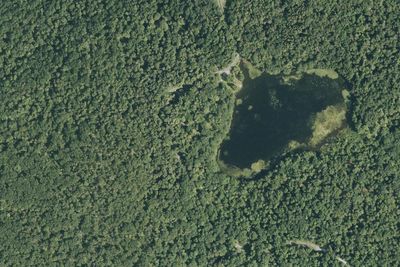 Site 5