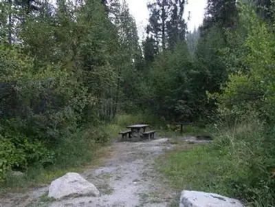 Rattlesnake
