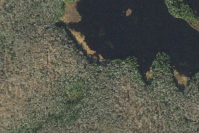 South Bourne Pond